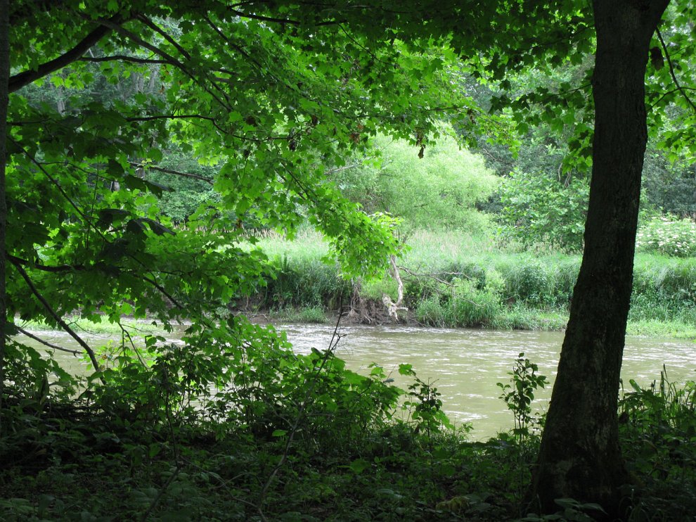 CritterPath 011.jpg
